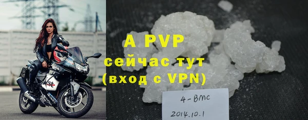 индика Костерёво