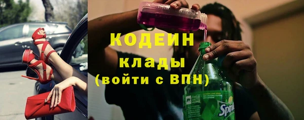 индика Костерёво