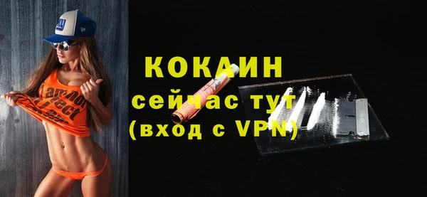 индика Костерёво