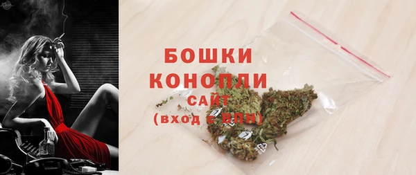 индика Костерёво