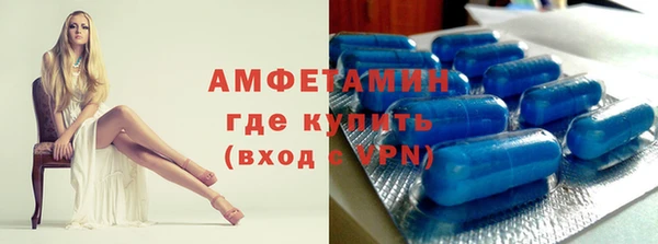 индика Костерёво