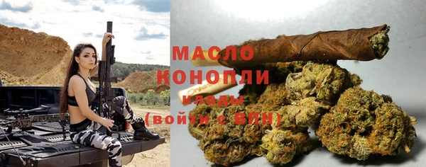 индика Костерёво