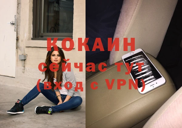 индика Костерёво