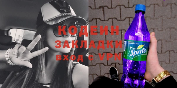 индика Костерёво