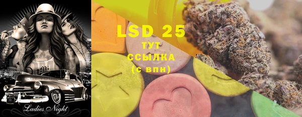 индика Костерёво
